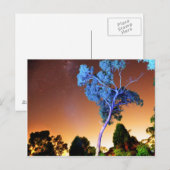 クリエイティブ片 ポストカード (正面/裏面)