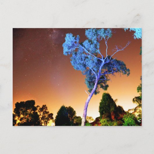 クリエイティブ片 ポストカード (正面)