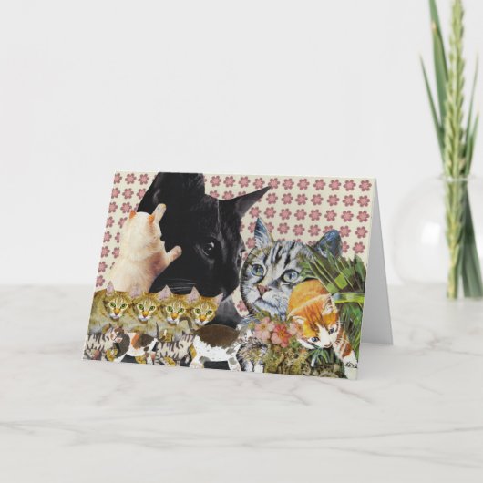 クリエイティブ猫グリーティングカード カード (正面)