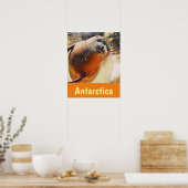 クリエイティブ野生生物水泳封印シークシークレタムトラベル ポスター (キッチン)