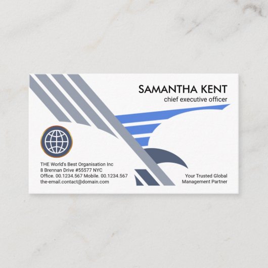 クリエイティブ《鳥》ハヤブサイーグルウィングススタートアップCEO創設者 名刺 (正面)