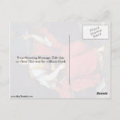 クリオバイピエールミニャール ポストカード (裏面)