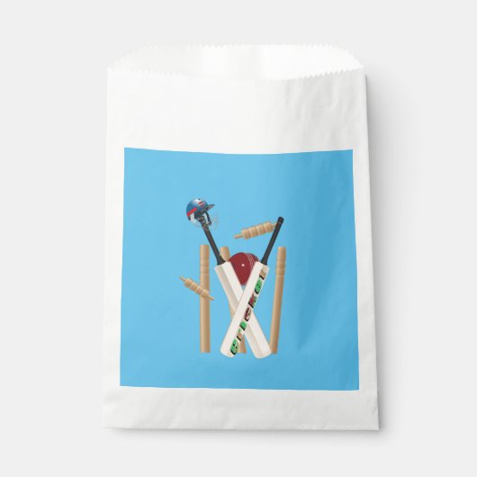 クリケットのウィケット、ヘルメット、こうもり、ボール。 フェイバーバッグ (正面)