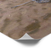 クリケットのティーンマウス ポスター (角)