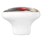 クリケットの熱狂：モルモットの大試合 セラミックノブ (側面)