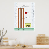 クリケットの試合からのウィケットの図 ポスター (キッチン)