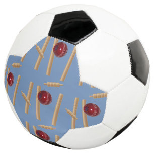 クリケットを浴びせた サッカーボール