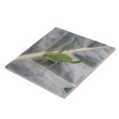 クリケットマクロタイル（緑） タイル (側面)