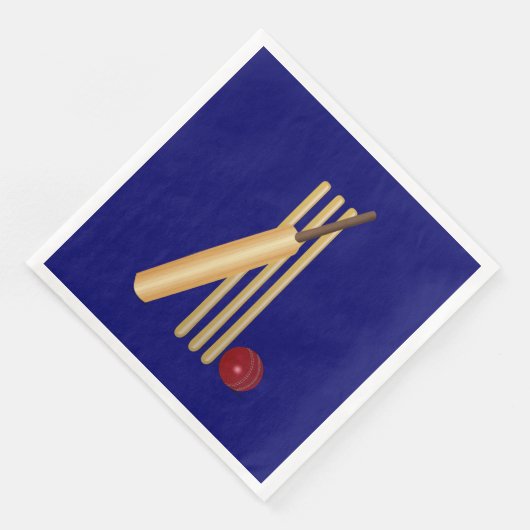 クリケット競技 (コーナー)