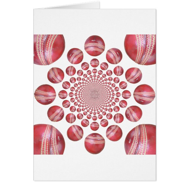 クリケット (正面)