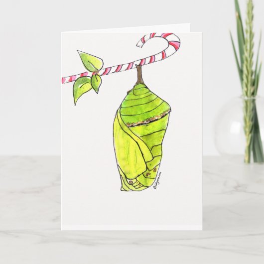 クリサリメリース シーズンカード (正面)