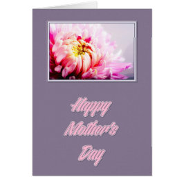 クリサンタム母の日