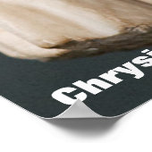 クリシプス ポスター (角)