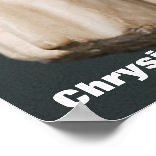 クリシプス ポスター (角)