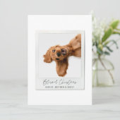 クリシンプルスマスヴィンテージモダン シーズンカード (スタンド正面)