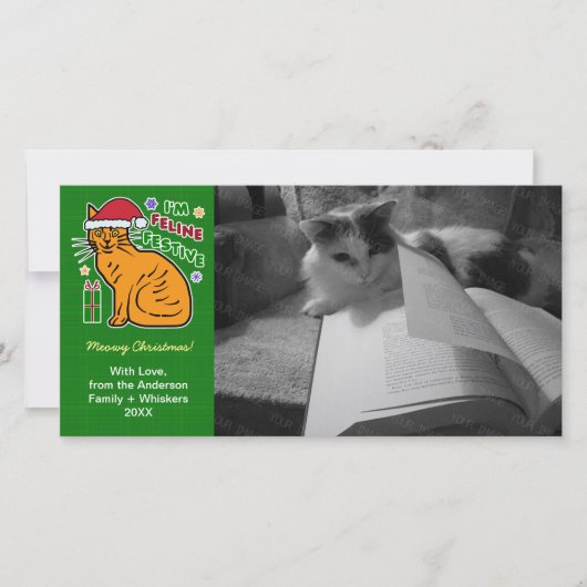 クリスおもしろいマス猫猫フェスティバルのパンペットカード シーズンカード (正面)