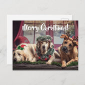 クリスおもしろいマス〔雄ジカの〕枝角とヘッドウェアの写真集 ポストカード (正面/裏面)