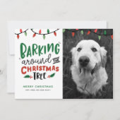 クリスのまわりにマスツリードッグクリスマス シーズンカード (正面)