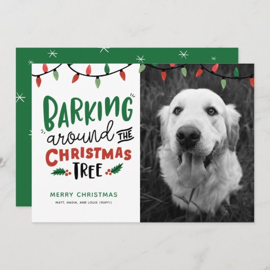 クリスのまわりにマスツリードッグクリスマス シーズンカード (正面/裏面)