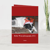 クリスカード シーズンカード (裏面)