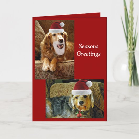 クリスカード シーズンカード (正面)