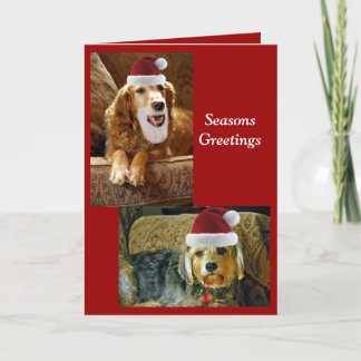 クリスカード シーズンカード