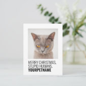 クリスシンプルマスおもしろいペット名写真 ポストカード (スタンド正面)