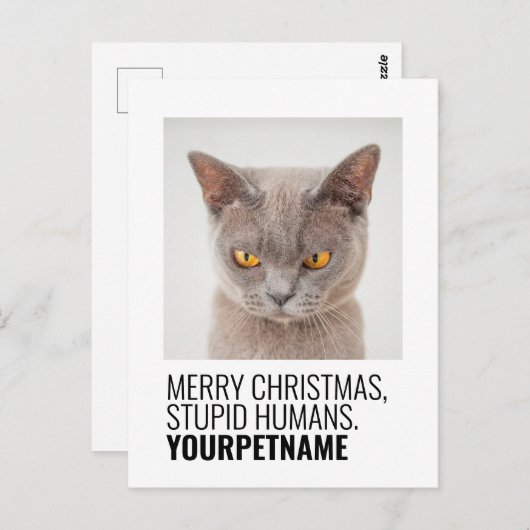 クリスシンプルマスおもしろいペット名写真 ポストカード (正面/裏面)