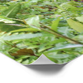 クリスタおもしろいオラングタンとのワツプ ポスター (角)