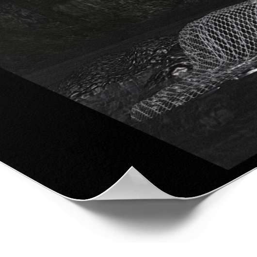 クリスタリン ポスター (角)