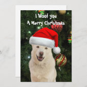 クリスタルのハスキー犬のクリスマスフラットカード シーズンカード (正面/裏面)