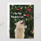 クリスタルのリスいけなト – ハスキー犬クリスマスフラット シーズンカード (正面/裏面)
