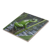 「クリスタルの透明度：葦の上の緑のガラスのカエル」 タイル (側面)