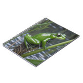 「クリスタルの透明度：葦の上の緑のガラスのカエル」 ノートブック (左側)