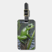 「クリスタルの透明度：葦の上の緑のガラスのカエル」 ラゲッジタグ (正面縦)