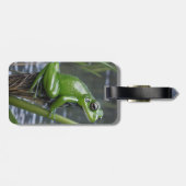 「クリスタルの透明度：葦の上の緑のガラスのカエル」 ラゲッジタグ (裏面横)