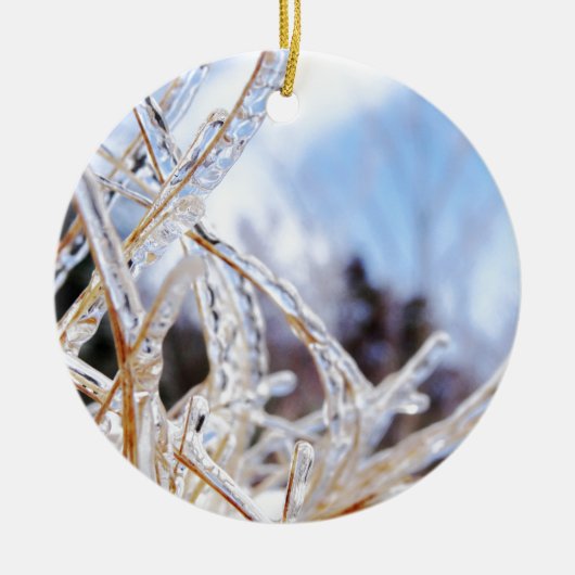 クリスタルガラス セラミックオーナメント (正面)