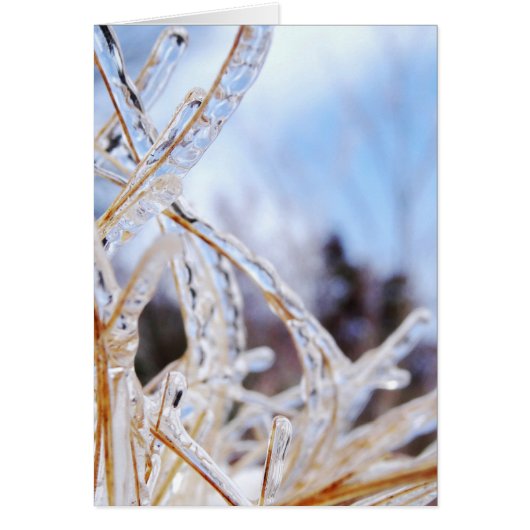 クリスタルグラス (正面)