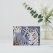 クリスタルブルーの目を持つ美しいホワイトタイガー 名刺 (スタンド正面)