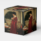 クリスタルボールウーマンウォーターハ絵画ウス フェイバーボックス (正面サイド)