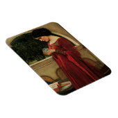 クリスタルボールウーマンウォーターハ絵画ウス マグネット (右側)