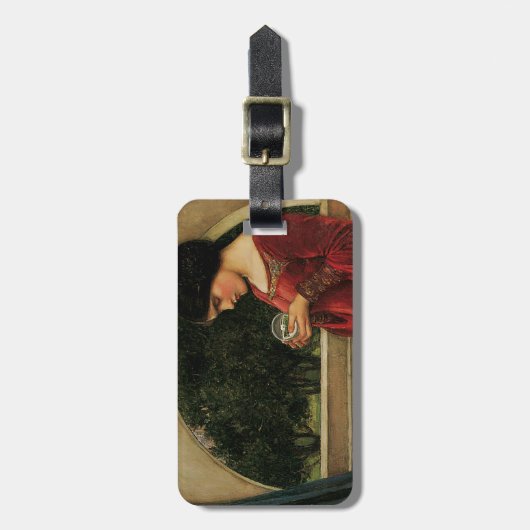 クリスタルボールウーマンウォーターハ絵画ウス ラゲッジタグ