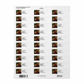 クリスタルボールウーマンウォーターハ絵画ウス ラベル (フルシート)