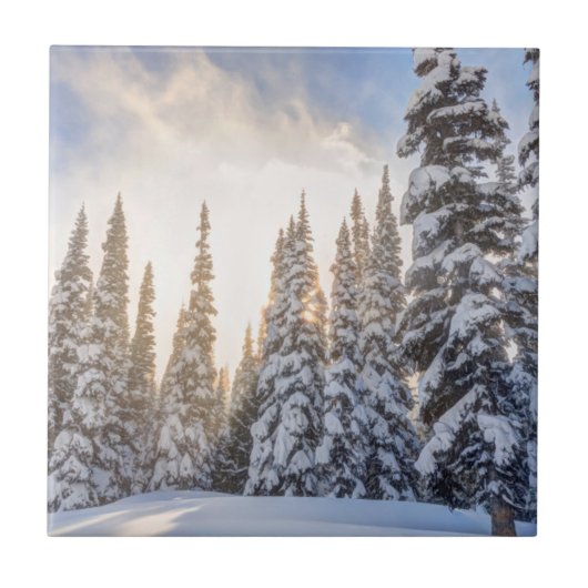 クリスタルマウンテンスキーリゾートニアマウントレイニア1 タイル (正面)