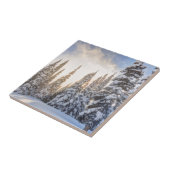 クリスタルマウンテンスキーリゾートニアマウントレイニア1 タイル (側面)