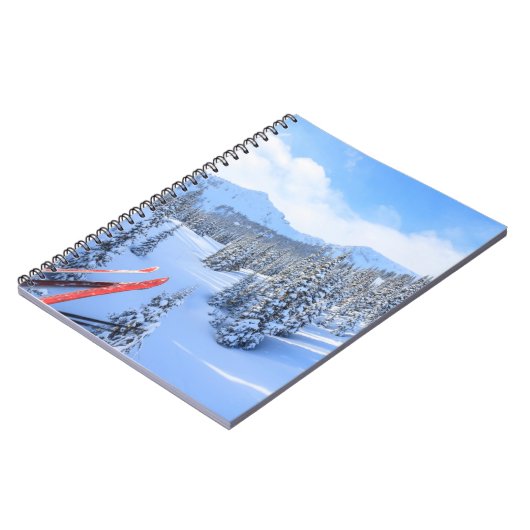 クリスタルマウンテンスキーリゾートニアマウントレイニア2 ノートブック (左側)