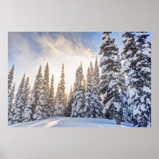 クリスタルマウンテンスキーリゾートMt. Rainier 1近く ポスター (正面)