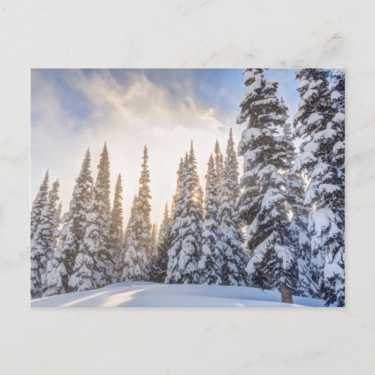 クリスタルマウンテンスキーリゾートMt. Rainier 1近く ポストカード (正面)