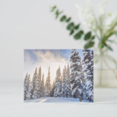 クリスタルマウンテンスキーリゾートMt. Rainier 1近く ポストカード (スタンド正面)