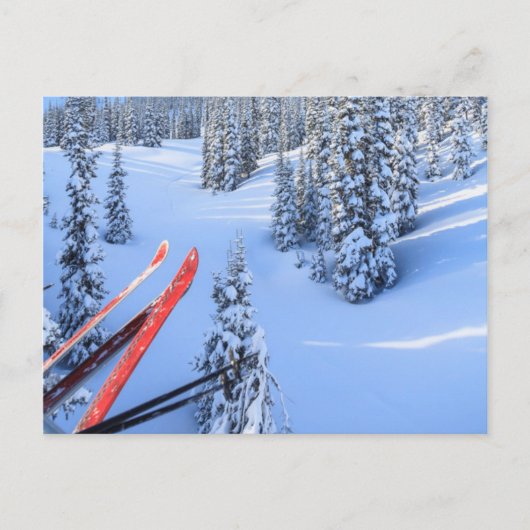 クリスタルマウンテンスキーリゾートMt. Rainier 2 ポストカード (正面)